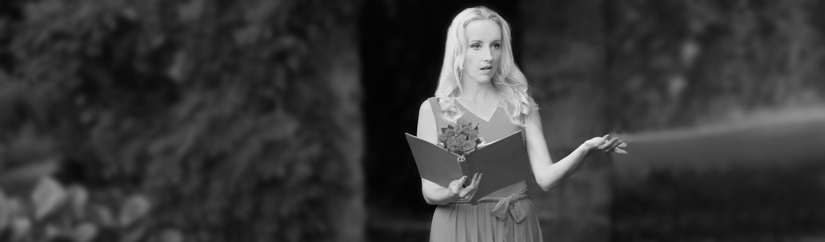 3612 Panorama neu sw